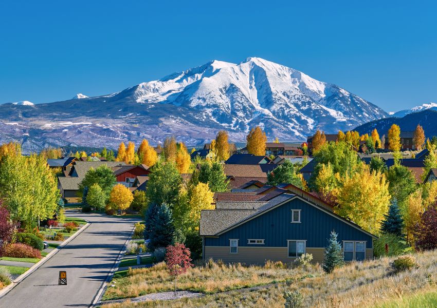neighborhood-with-trees-and-mountain