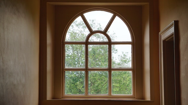a window looking out on a tree