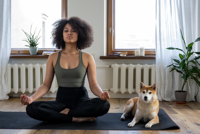 someone doing yoga next to their dog