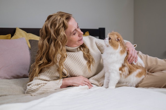 someone on a bed petting a cat